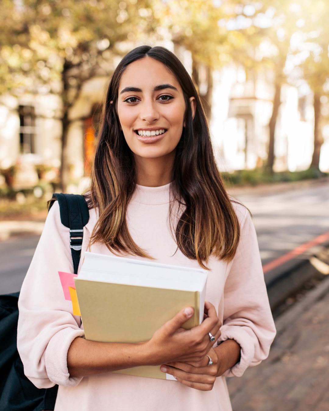 Master’s Student in Art History